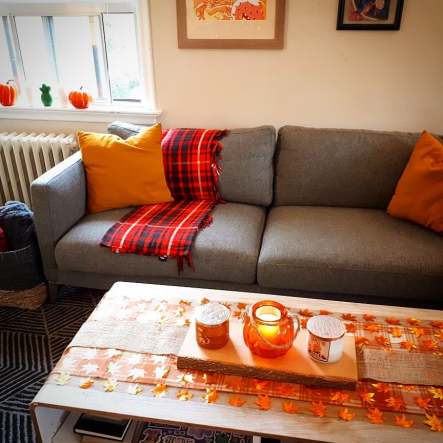 42491575_10102058232987295_4383481714362548224_n