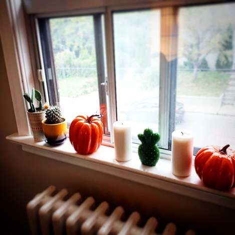 42510111_10102058232802665_2466711739429814272_n