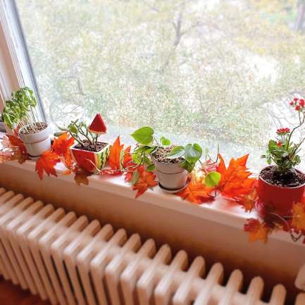 42600445_10102058233022225_3058994176294125568_n