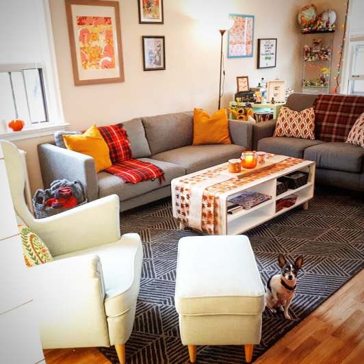 42600675_10102058232917435_5684103759844605952_n